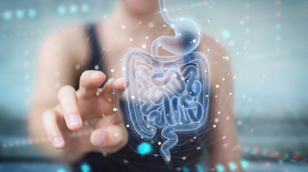 Gut Microbiome modulation