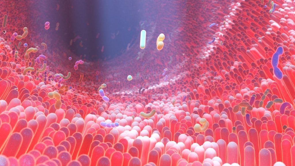 what is gut microbiome