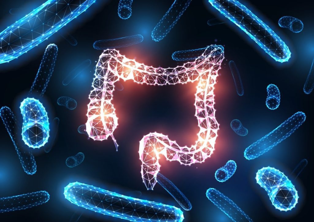 gut bacteria and overall health