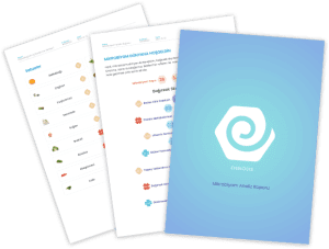 c2a-demo-reports