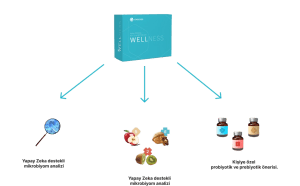 Microbiome-based diet plan